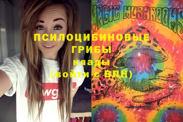 сатива Белокуриха