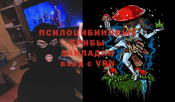 сатива Белокуриха