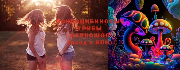 сатива Белокуриха