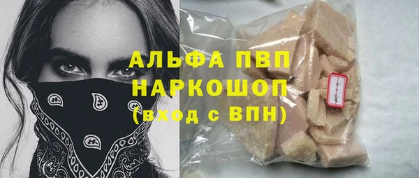 сатива Белокуриха