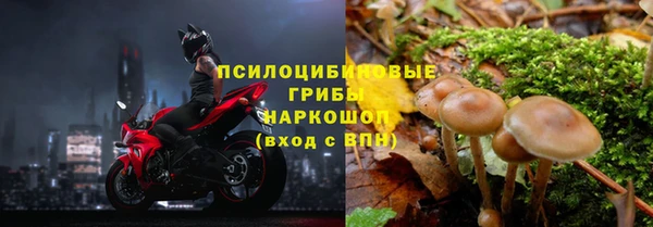 дживик Белоозёрский